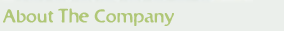 About The Company